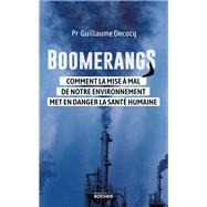 Boomerangs by Pr Guillaume Decocq, 9782268108520