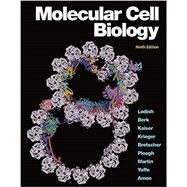 Molecular Cell Biology by Lodish, Harvey; Berk, Arnold; Kaiser, Chris A.; Krieger, Monty; Bretscher, Anthony; Ploegh, Hidde; Martin, Kelsey C.; Yaffe, Michael; Amon, Angelika, 9781319208523