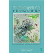 The Power of Phenomenology by Stolorow, Robert D.; Atwood, George E., 9781138328525