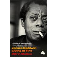JAMES BALDWIN:LIVING IN FIRE by Unknown, 9780745338538