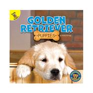Golden Retriever Puppies by Scragg, Hailey, 9781731628541