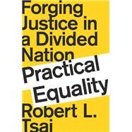 Practical Equality Forging Justice in a Divided Nation by Tsai, Robert, 9780393358551