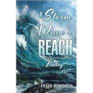 A Storm Wave's Reach by Bongjoh, Felix, 9781490798554