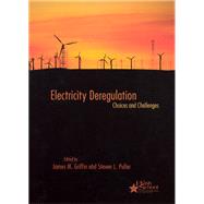 Electricity Deregulation: Choices And Challenges by Griffin, James M.; PULLER, STEVEN L., 9780226308562