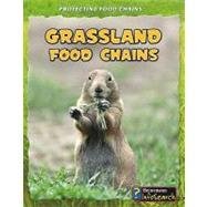Grassland Food Chains by Silverman, Buffy, 9781432938574