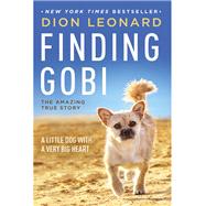 Finding Gobi by Leonard, Dion; Borlase, Craig (CON), 9780718098575