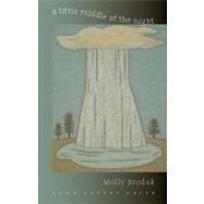A Little Middle of the Night by Brodak, Molly, 9781587298585