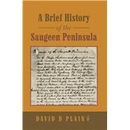 A Brief History of the Saugeen Peninsula by Plain, David D., 9781490788593