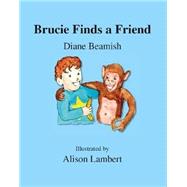 Brucie Finds a Friend by Beamish, Diane; Lambert, Alison, 9781412048613
