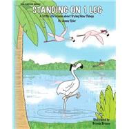 Standing on One Leg by Tyler, Jenny, 9781497408616