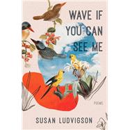 Wave If You Can See Me by Ludvigson, Susan, 9781597098632