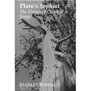 Plato's Sophist by Rosen, Stanley, 9781890318635