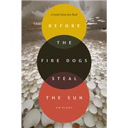 Before the Fire Dogs Steal the Sun by Crystal Mun-hye Baik, 9781478038641