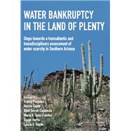Water Bankruptcy in the Land of Plenty by Poupeau,Franck, 9781138418653