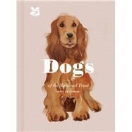 Dogs of the National Trust by Feldman, Amy, 9781911358695