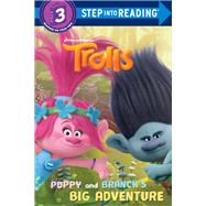 Poppy and Branch's Big Adventure (DreamWorks Trolls) by MILLER, MONA, 9780399558702