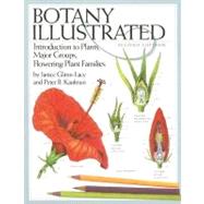 Botany Illustrated : Introduction to Plants, Major Groups, Flowering Plant Families by Glimn-lacy, Janice; Kaufman, Peter B., 9780387288703