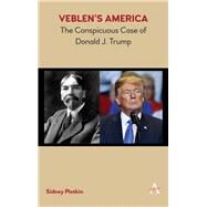 Veblens America by Plotkin, Sidney, 9781783088720