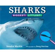 Sharks Biggest! Littlest! by Markle, Sandra; Perrine, Doug, 9781590788738