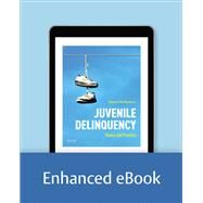 Juvenile Delinquency Theory to Practice by McNamara, Robert, 9780190078744