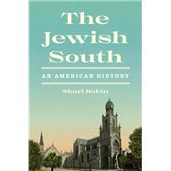 The Jewish South by Shari Rabin, 9780691208763