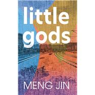 Little Gods by Jin, Meng, 9781432878764