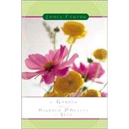 A Garden From A Hundred Packets Of Seed by Fenton, James, 9780374528775