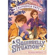 A Squirrelly Situation by Kelly, Jacqueline; Meyer, Jennifer L., 9781627798778