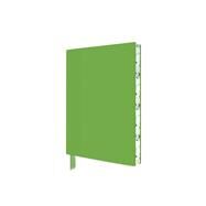 Spring Green Artisan Pocket Journal Foiled Blank Journal by Flame Tree Studio, 9781787558779