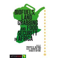 Biofuels, Land Grabbing and Food Security in Africa by Matondi, Prosper B.; Havnevik, Kjell; Beyene, Atakilte, 9781848138780