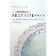 A Luminous Brotherhood by Clark, Emily Suzanne, 9781469628783
