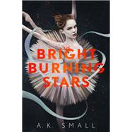 Bright Burning Stars by Small, A.K., 9781616208783