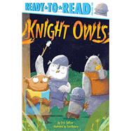 Knight Owls Ready-to-Read Pre-Level 1 by Seltzer, Eric; Disbury, Tom, 9781534448810