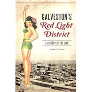 Galveston's Red Light District by Fountain, Kimber, 9781467138833