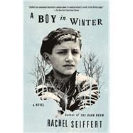 A Boy in Winter by SEIFFERT, RACHEL, 9780307908834
