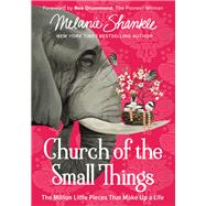 Church of the Small Things by Shankle, Melanie; Drummond, Ree, 9780310348870