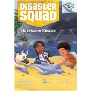 Hurricane Rescue: A Branches Book (Disaster Squad #2) by Rajan, Rekha S.; Lovett, Courtney, 9781338828870