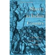 Slavery in Indian Country : The Changing Face of Captivity in Early America by Snyder, Christina, 9780674048904