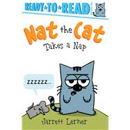 Nat the Cat Takes a Nap Ready-to-Read Pre-Level 1 by Lerner, Jarrett; Lerner, Jarrett, 9781665918909