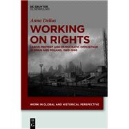 Working on Rights by Anna Delius, 9783110768916