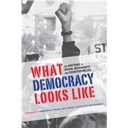 What Democracy Looks Like by Foust, Christina R.; Pason, Amy; Rogness, Kate Zittlow, 9780817358938