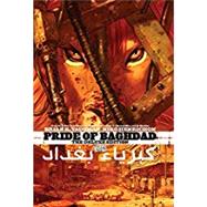 Pride of Baghdad by Vaughan, Brian K.; Henrichon, Niko, 9781401248949