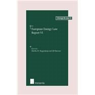 European Energy Law Report VI by Roggenkamp, Martha; Hammer, Ulf, 9789050958950