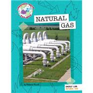 Natural Gas by Rowell, Rebecca, 9781610808958