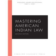 Mastering American Indian Law by Wambdi, Angelique; Leeds, Stacy L., 9781611638967