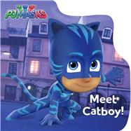 Meet Catboy! by Cregg, R. J., 9781481488976