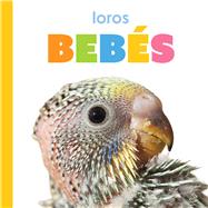 Loros beb�s by Thompson, Kim, 9781682778999