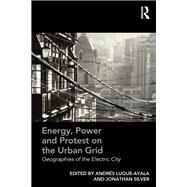 Energy, Power and Protest on the Urban Grid: Geographies of the Electric City by Luque-Ayala,Andres, 9781472449009