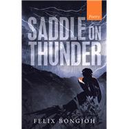 Saddle on Thunder by Bongjoh, Felix, 9781490799018
