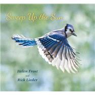 Sweep Up the Sun by Frost, Helen; Lieder, Rick, 9780763669041
